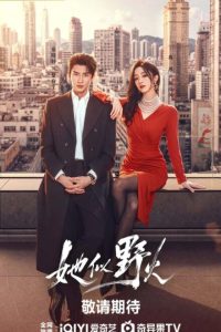 She’s Wild Fire (2026) poster